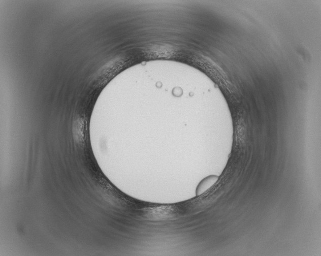 X0000115400122200912151528