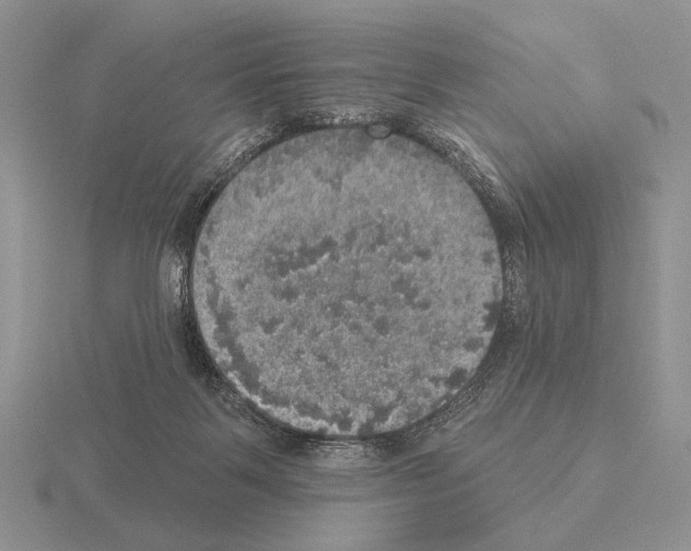 X0000115400123200912151528