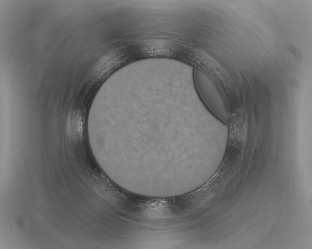 X0000115400124200912151528