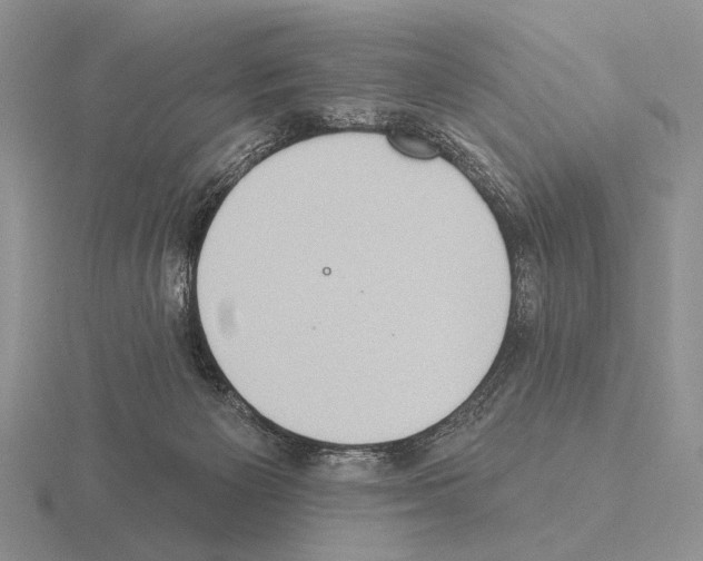 X0000115400125200912151528