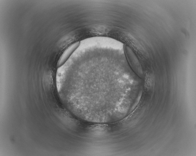 X0000115400128200912151528