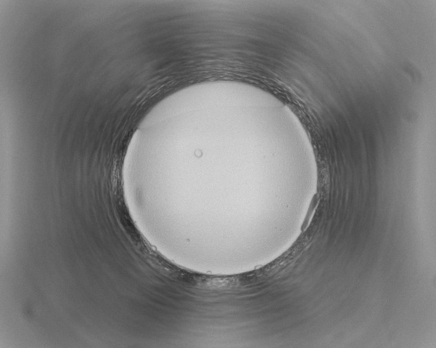 X0000115400129200912151528