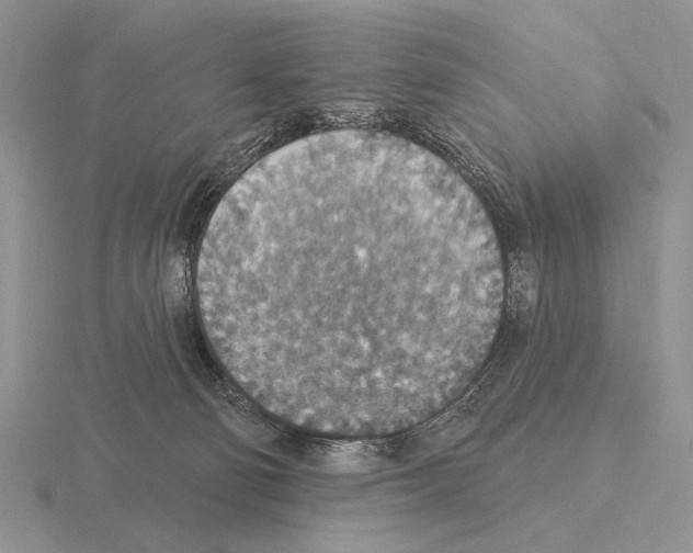 X0000115400130200912151528