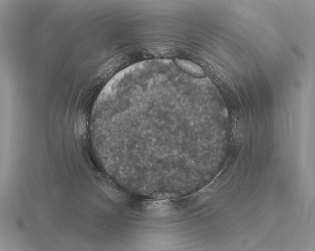 X0000115400132200912151528