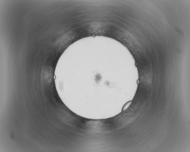 X0000115400133200912151528