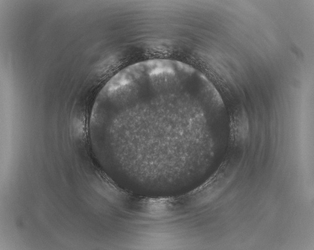 X0000115400134200912151528