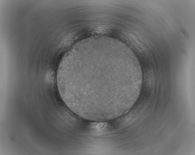 X0000115400135200912151528