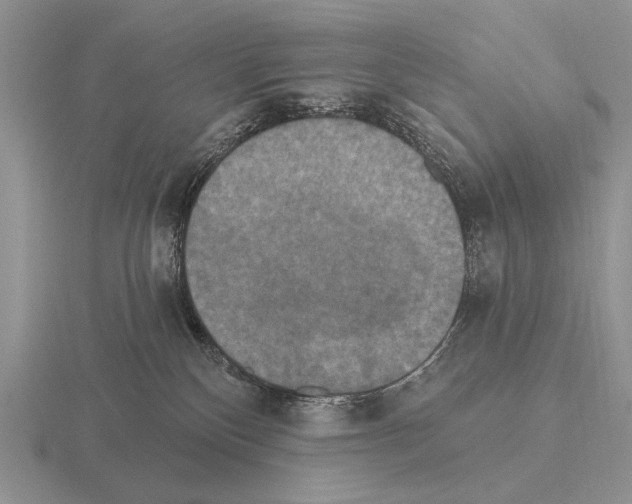 X0000115400136200912151528