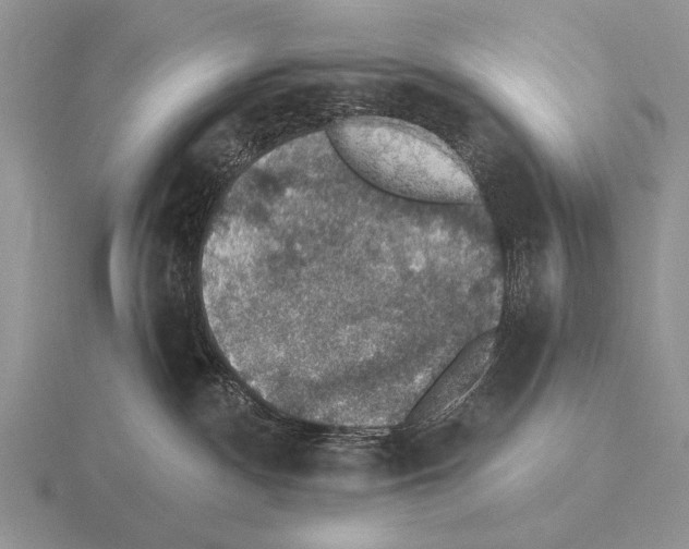 X0000115400140200912151528