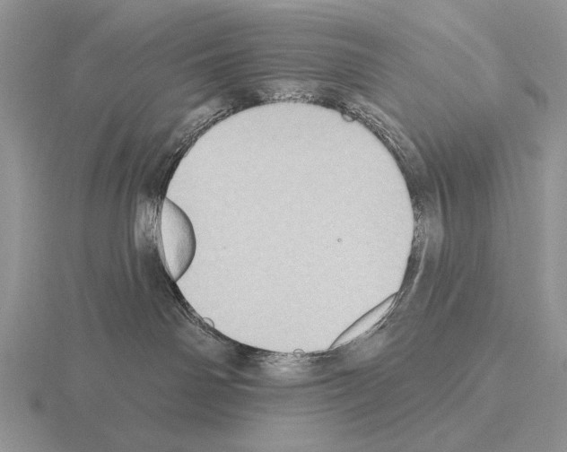 X0000115400142200912151528