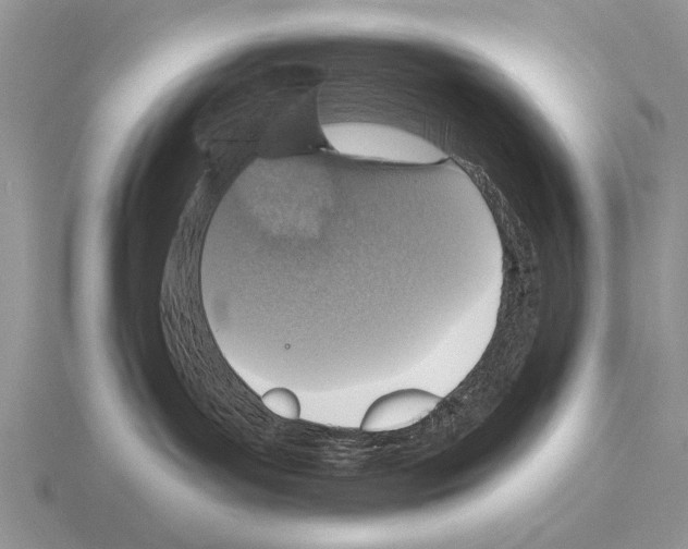 X0000115400143200912151528