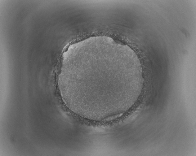 X0000115400144200912151528