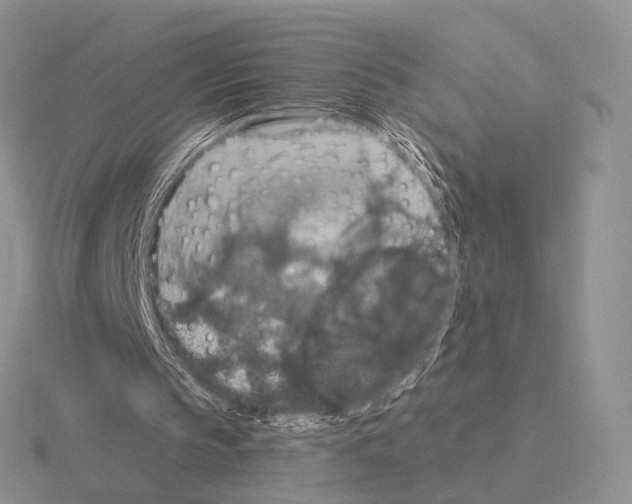 X0000115400145200912151527