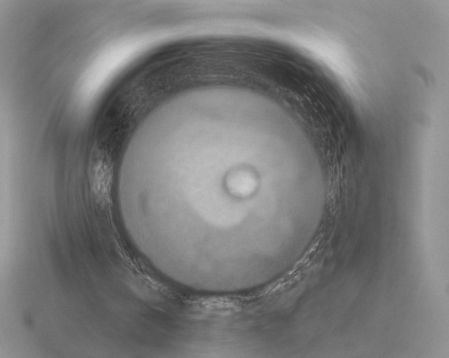 X0000115400146200912151527