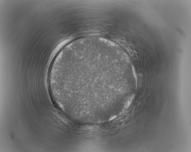 X0000115400147200912151527