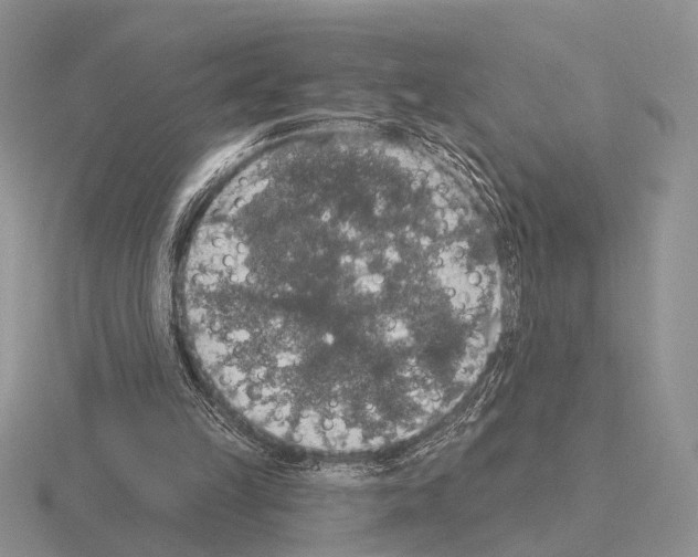 X0000115400149200912151527