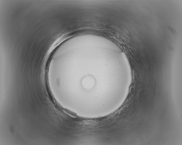 X0000115400150200912151527