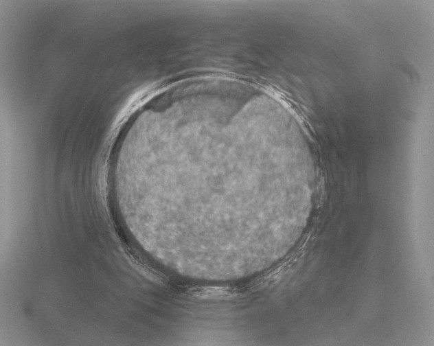 X0000115400151200912151527