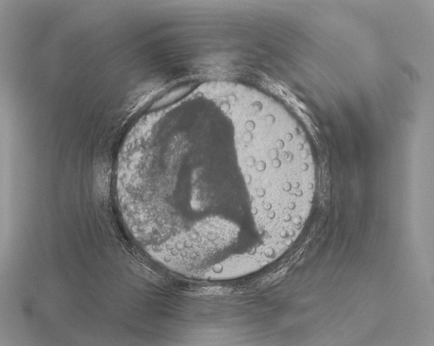 X0000115400153200912151527