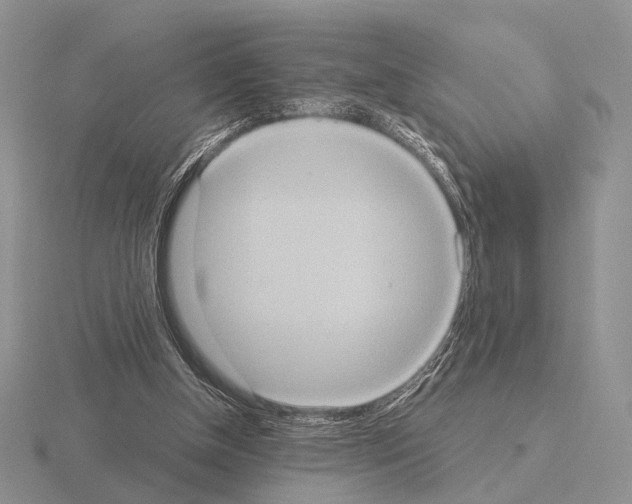 X0000115400154200912151527