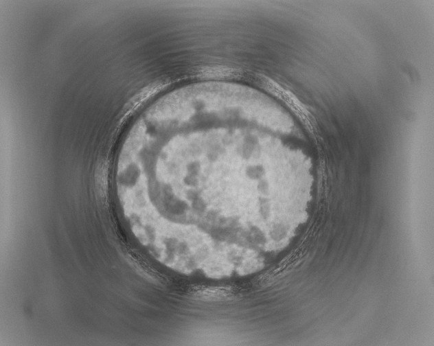 X0000115400155200912151527