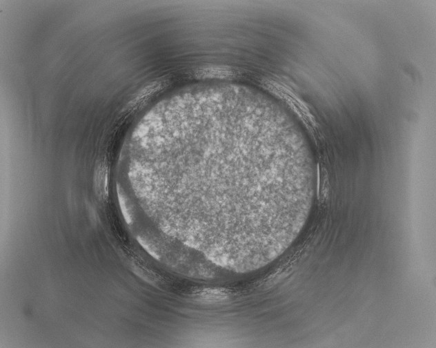 X0000115400157200912151527