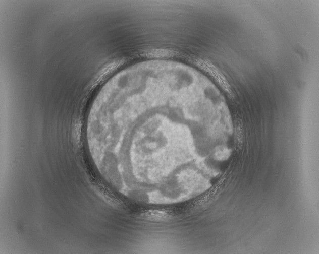 X0000115400159200912151527