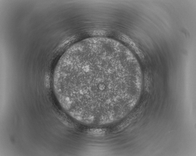 X0000115400161200912151527