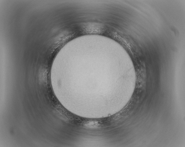 X0000115400162200912151527