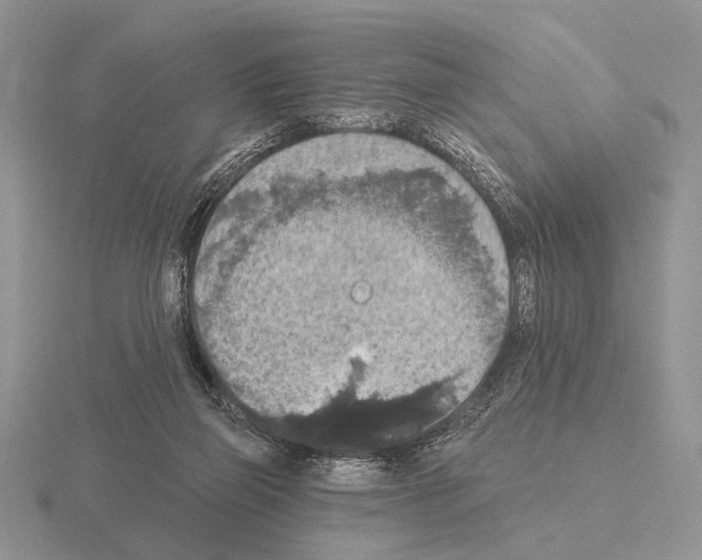 X0000115400165200912151527