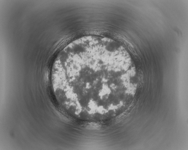 X0000115400166200912151527