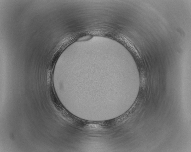 X0000115400167200912151527