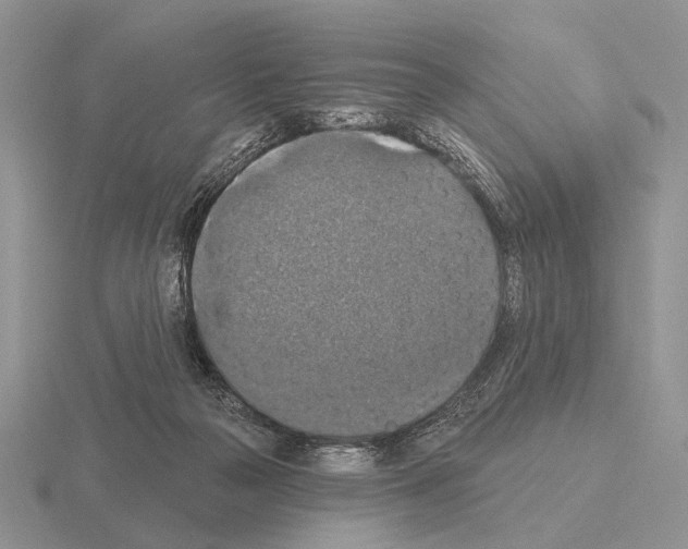 X0000115400169200912151527