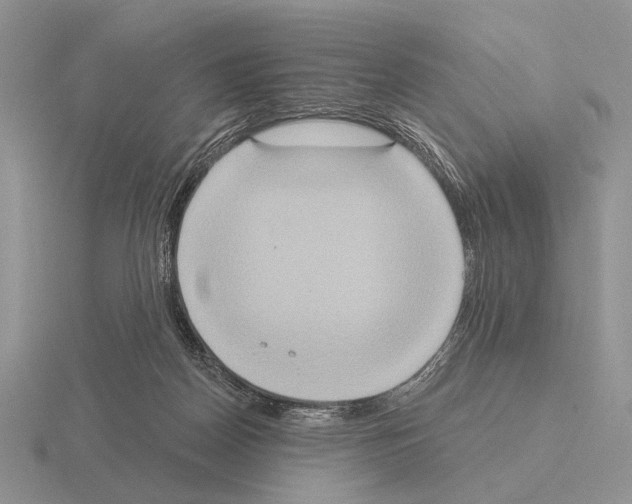 X0000115400170200912151527