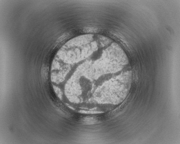 X0000115400171200912151527