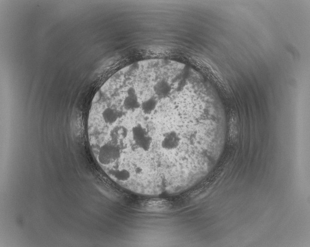 X0000115400173200912151528