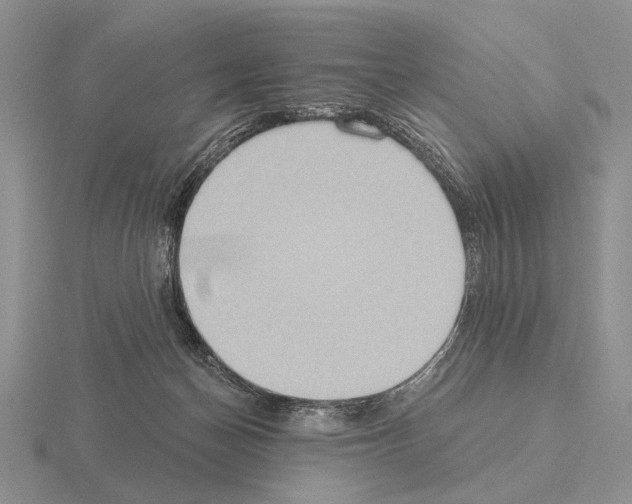 X0000115400174200912151528