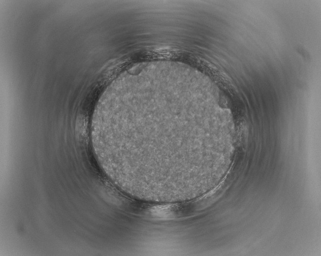 X0000115400178200912151528