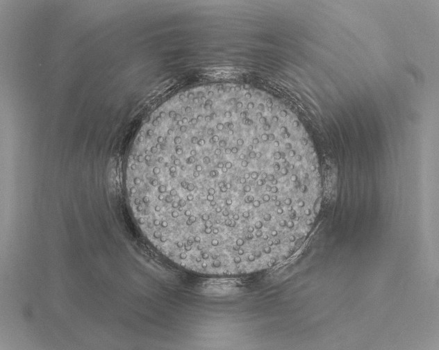 X0000115400179200912151528