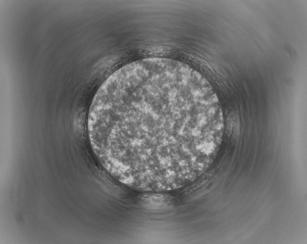 X0000115400181200912151528