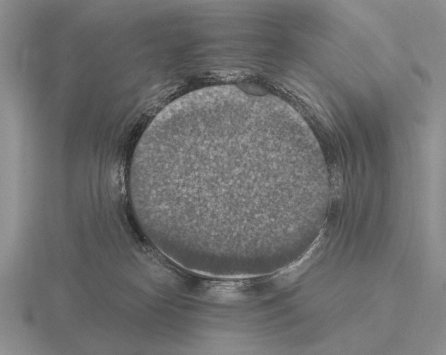 X0000115400182200912151528