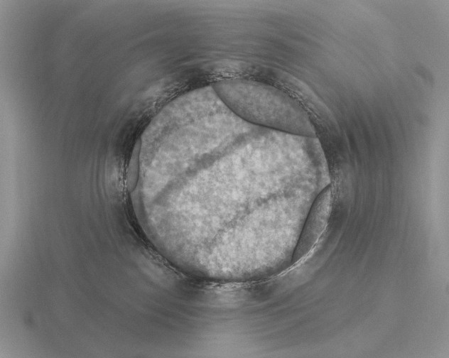 X0000115400186200912151528