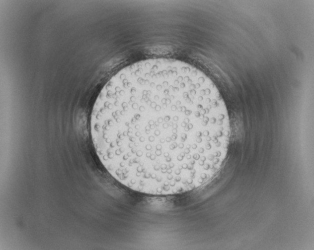 X0000115400187200912151528