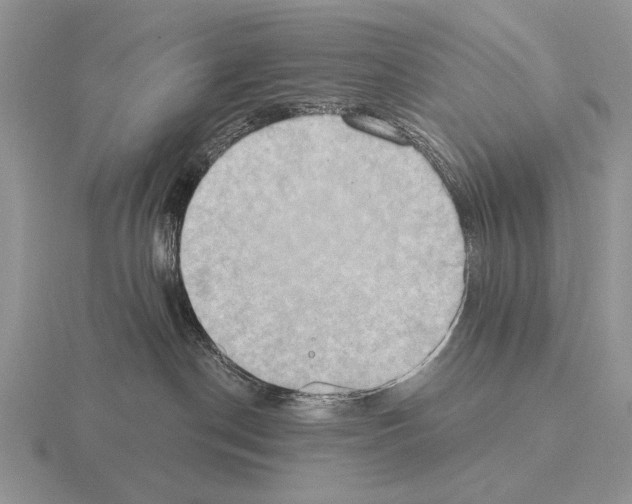 X0000115400190200912151528