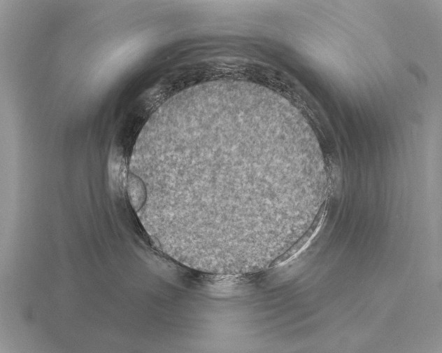 X0000115400191200912151528