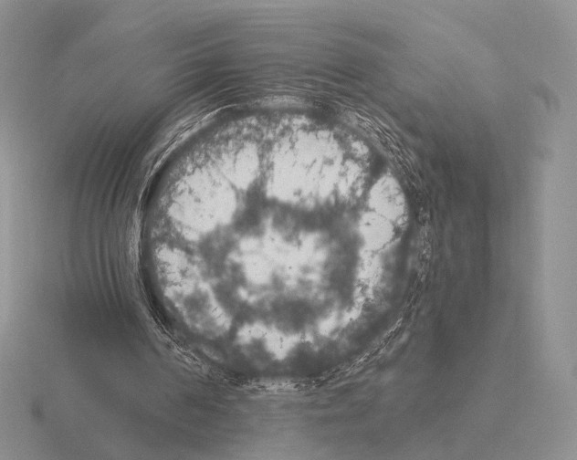 X0000115400194200912151527