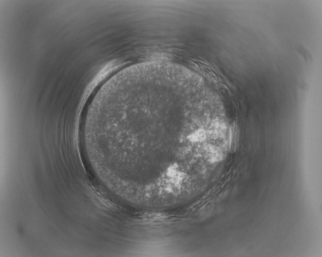 X0000115400195200912151527