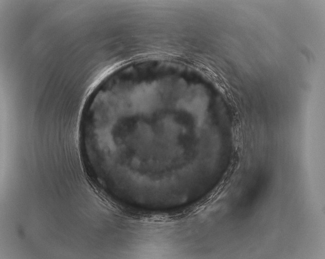 X0000115400196200912151527