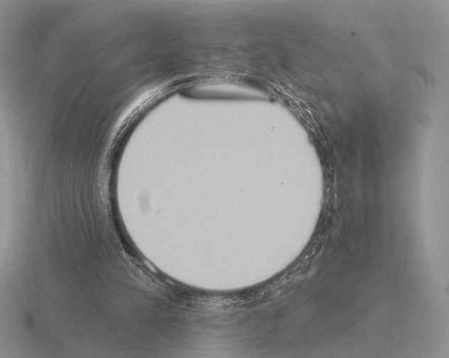 X0000115400197200912151527