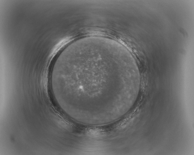 X0000115400199200912151527